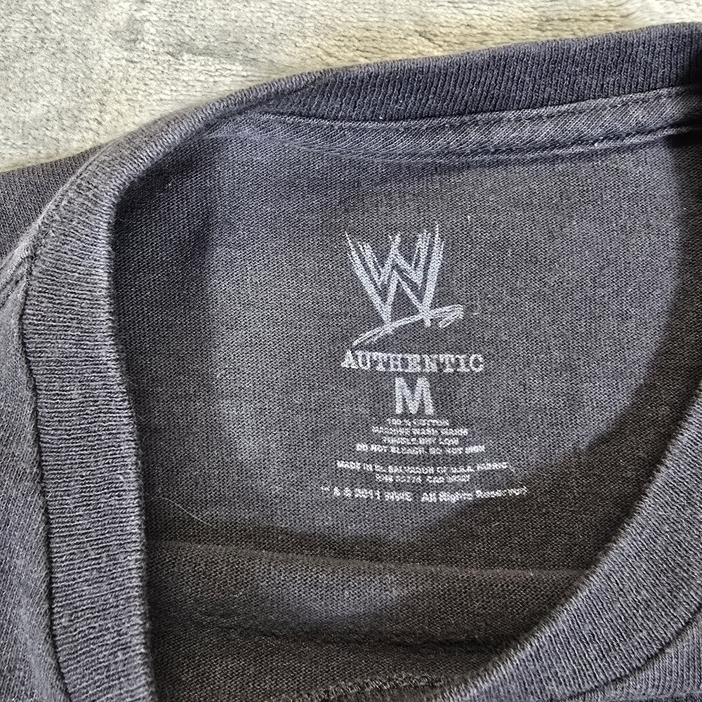 WWE No Way Out Steel Cage Size Medium Cena Big Show Rhodes Sheamus Punk Kane - Picture 3 of 5